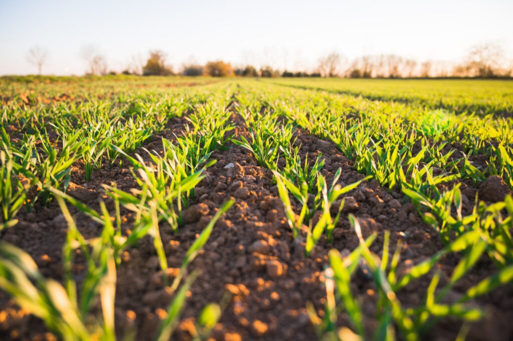 EJP SOIL - szansa na finansowanie badań glebowych