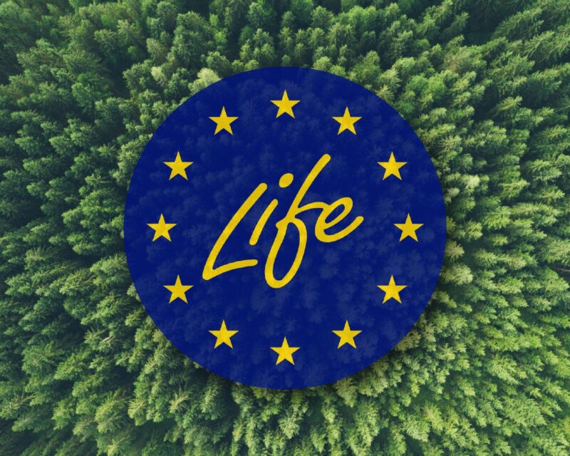 Logo programu LIFE na tle lasu