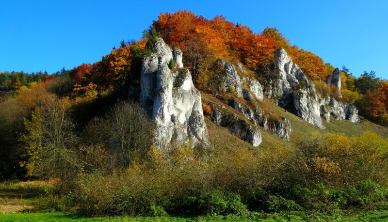 Skały wapienne w Ojcowskim Parku Narodowym w otoczeniu jesiennych drzew