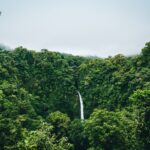 Widok na wodospad pośród zielonych drzew lasu deszczowego
