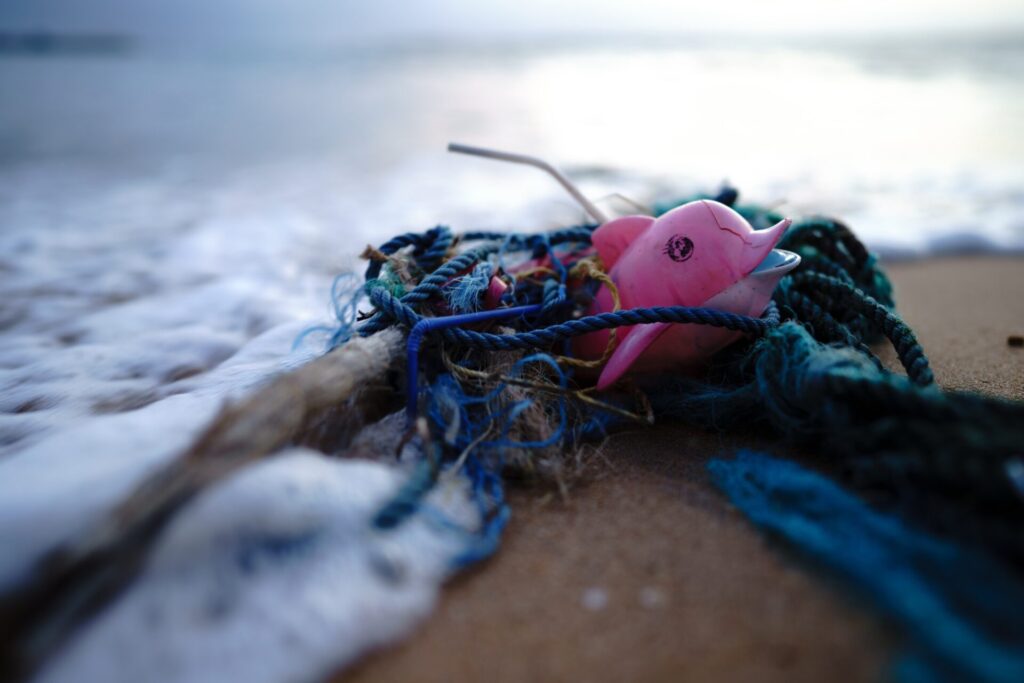 swiatowy dzien oceanow plastik zanieczyszczenia • ekoetos.pl