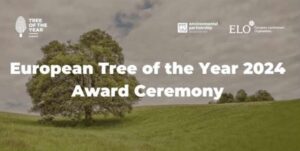 Logo ceremonii wręczenia nagrody 'European Tree of the Year' na tle zielonego krajobrazu