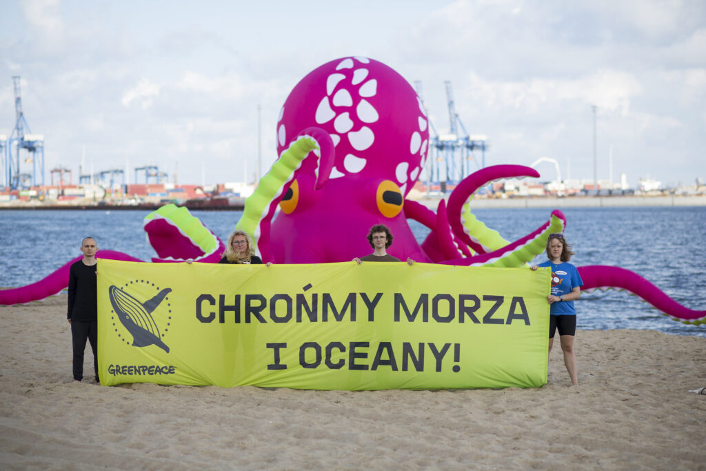 Na gdańskiej plaży pojawiła się ogromna różowa ośmiornica