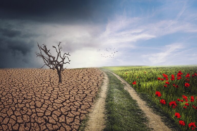 Sejm, system klimatyczny