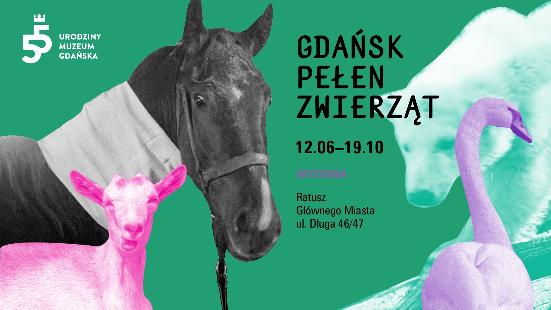 Gdańsk pełen zwierząt