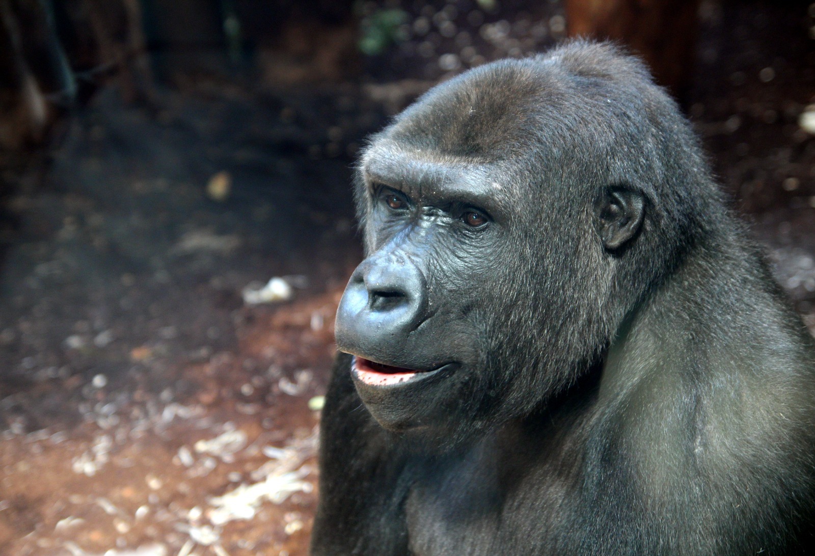 ZOO arszawa