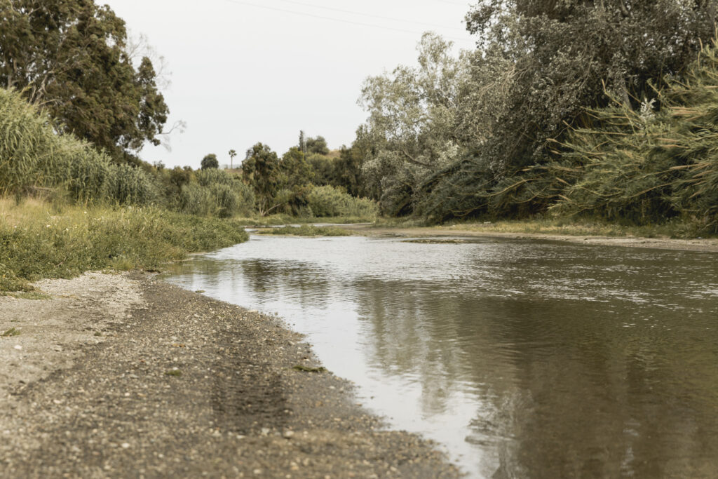Susza hydrologiczna obejmuje obecnie 16 stacji pomiarowych w Polsce. Wisła osiągnęła rekordowo niski poziom 10 centymetrów Fot. Freepik