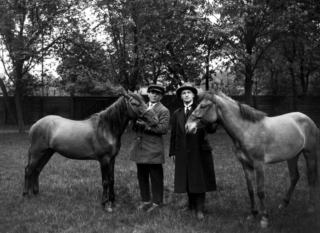 Vetulani obserwował koniki polskie w rezerwacie, dbając o to, by ich warunki życia były jak najbardziej zbliżone do naturalnych Fot. Autorstwa Nieznany - Narodowe Archiwum Cyfrowe, Domena publiczna, https://commons.wikimedia.org/w/index.php?curid=67215280
