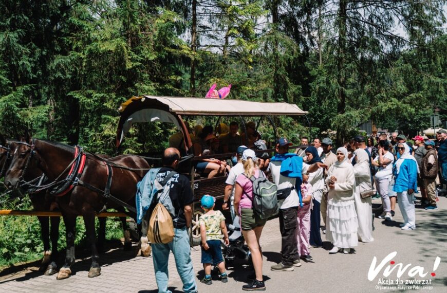 Politechnika Śląska