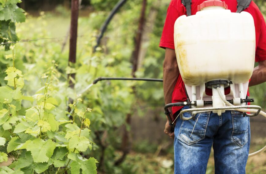 Ustawa podpisana przez prezydenta wprowadza zmiany w ochronie roślin, środkach ochrony i kontroli fitosanitarnej Fot. Freepik