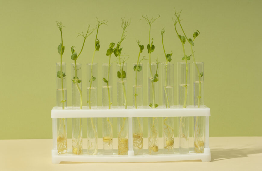 Zasoby genetyczne (od dzikich roślin po banki genów) są podstawą badań naukowych i rozwoju biotechnologii Fot. Freepik
