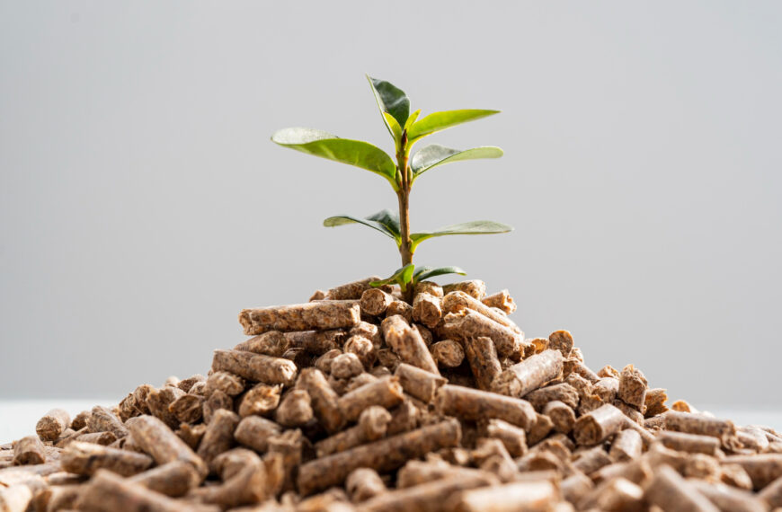 Gospodarka obiegu zamkniętego