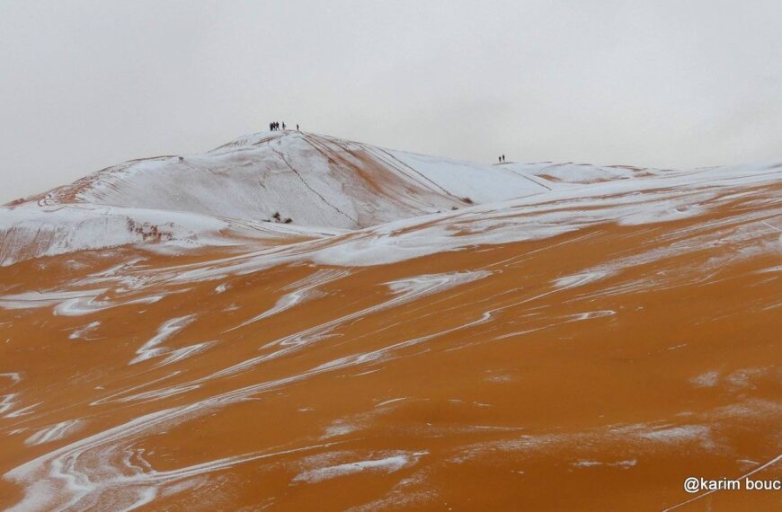 Saharę, jeden z najgorętszych i najsuchszych obszarów świata, czasem pokrywa śnieg. Fot. Karim Bouchetata