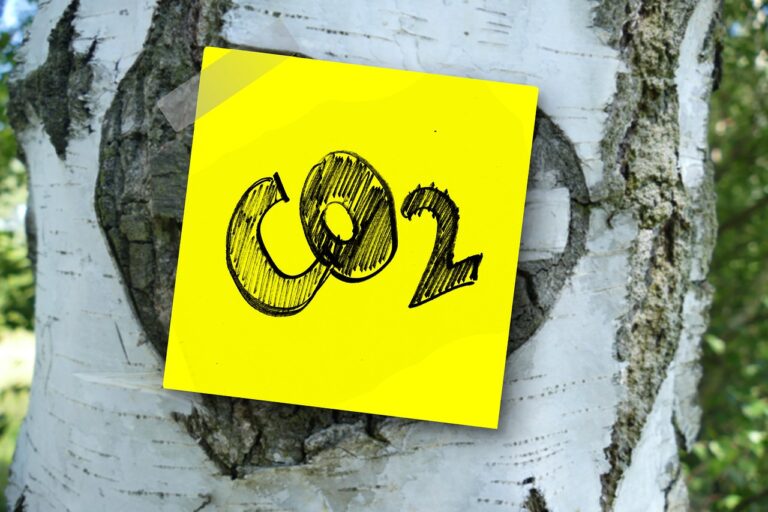 dwutlenek węgla CCS