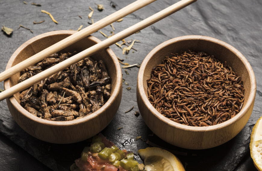 Projekt ustawy ma na celu zapewnienie polskim konsumentom łatwej i szybkiej możliwości rozpoznania produktów spożywczych zawierających w składzie nową żywność pochodzącą z owadów Fot. Freepik