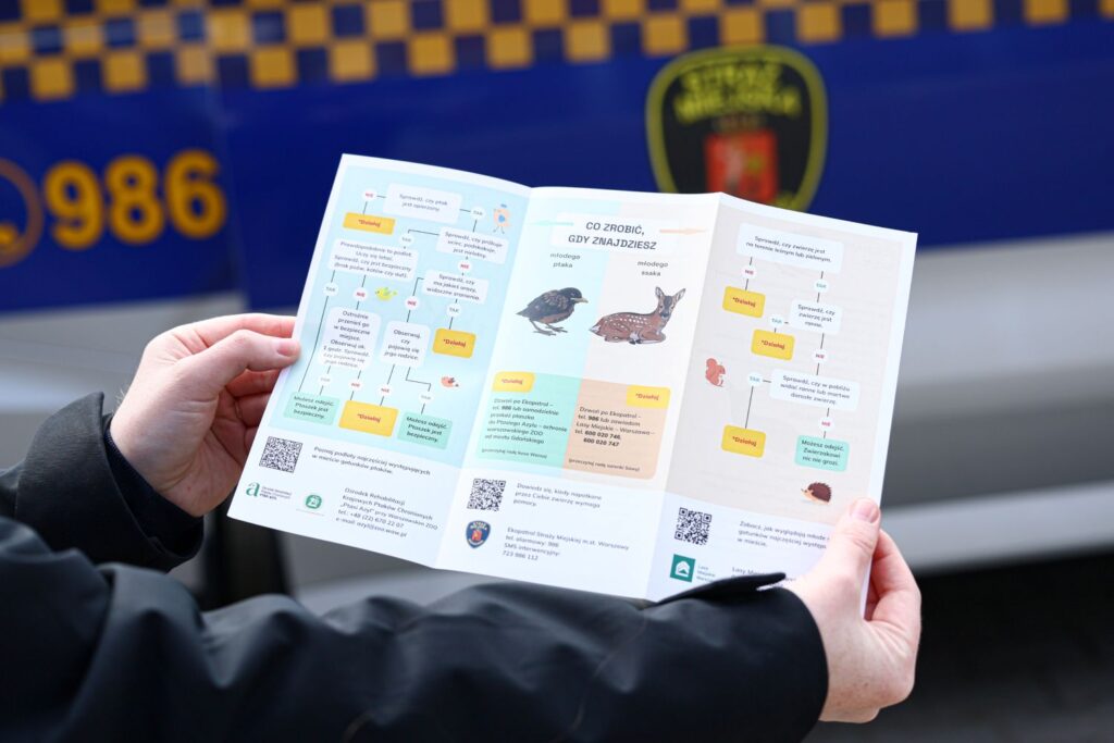 ZOOstaw, NIE porywaj! Jak pomagać dzikim zwierzętom odpowiedzialnie? 1 Konferencja ZOOstaw NIE porywaj_
fot. Szymon Pulcyn UM Warszawa