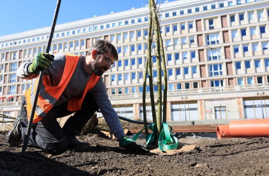 Sadzenie drzew na Placu Powstańców Warszawy_fot_Szymon Pulcyn_UM Warszawa