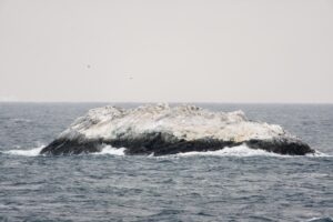 Nieznana wyspa wynurzająca się z wód Morza Weddella na Antarktydzie, odkryta podczas ekspedycji lodołamacza „Polarstern” Photo: Alfred Wegener Institute / Simon Dreutter