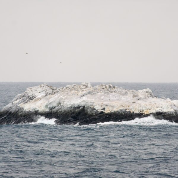 Nieznana wyspa wynurzająca się z wód Morza Weddella na Antarktydzie, odkryta podczas ekspedycji lodołamacza „Polarstern” Photo: Alfred Wegener Institute / Simon Dreutter