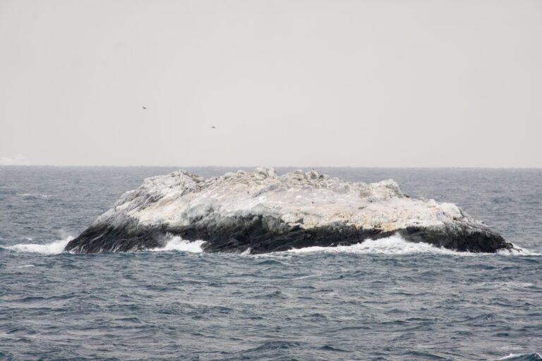 Nieznana wyspa wynurzająca się z wód Morza Weddella na Antarktydzie, odkryta podczas ekspedycji lodołamacza „Polarstern” Photo: Alfred Wegener Institute / Simon Dreutter