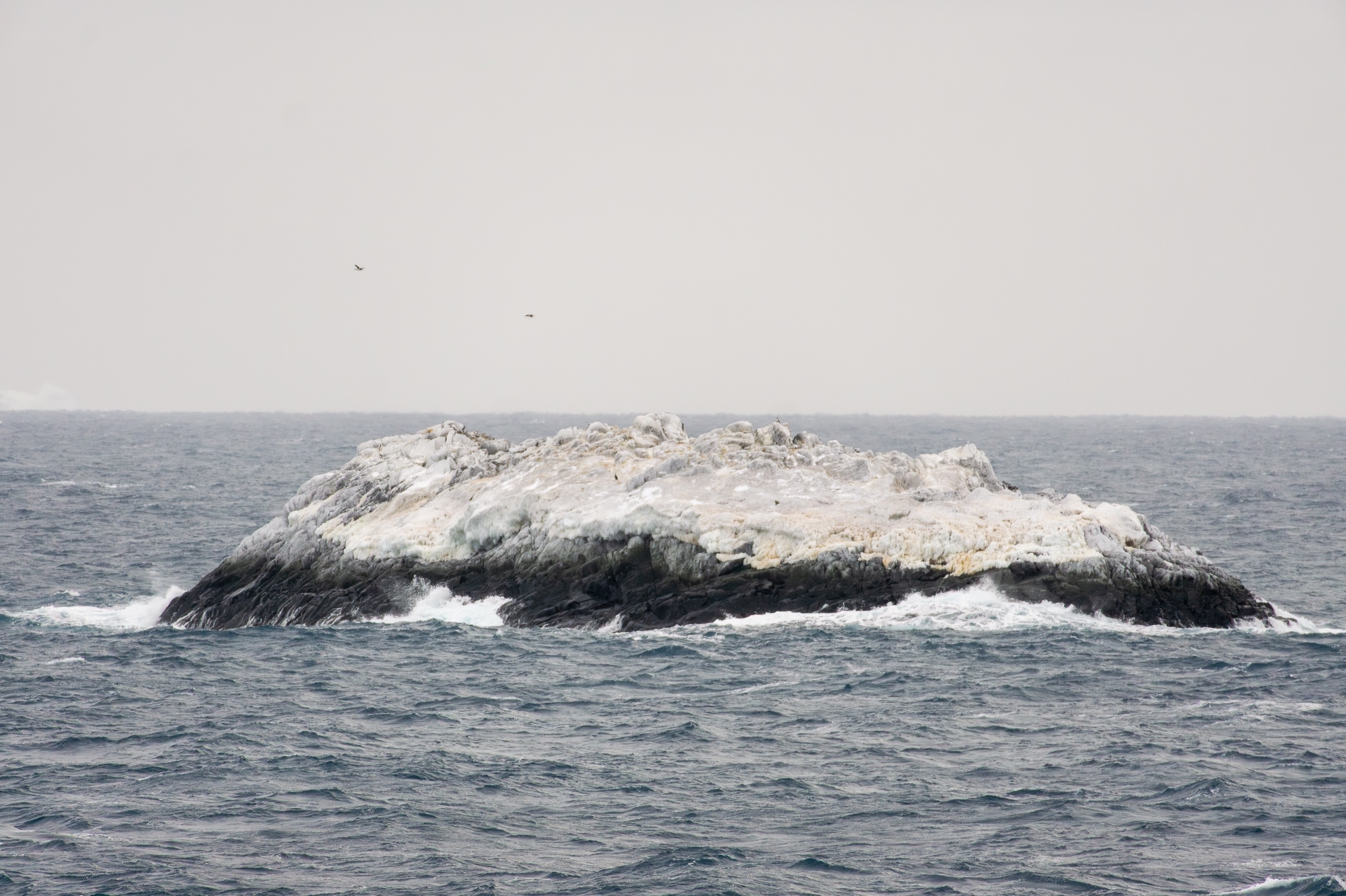 Nieznana wyspa wynurzająca się z wód Morza Weddella na Antarktydzie, odkryta podczas ekspedycji lodołamacza „Polarstern” Photo: Alfred Wegener Institute / Simon Dreutter