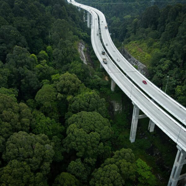 korytarze ekologiczne