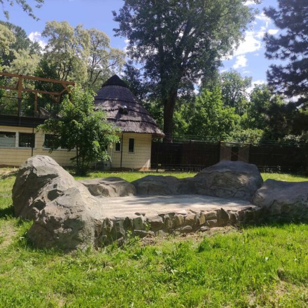 Podgrzewana skała na nowym wybiegu gepardów_fot. Anna Karczewska_Warszawskie ZOO