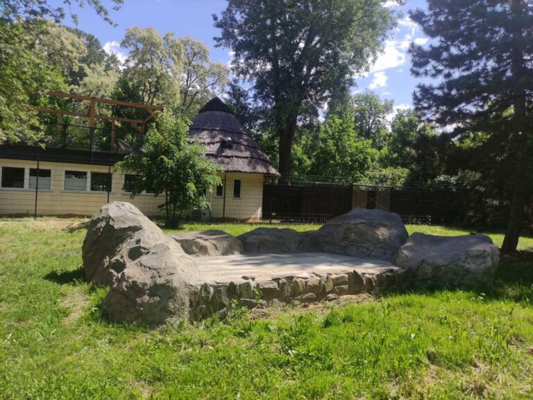 Podgrzewana skała na nowym wybiegu gepardów_fot. Anna Karczewska_Warszawskie ZOO