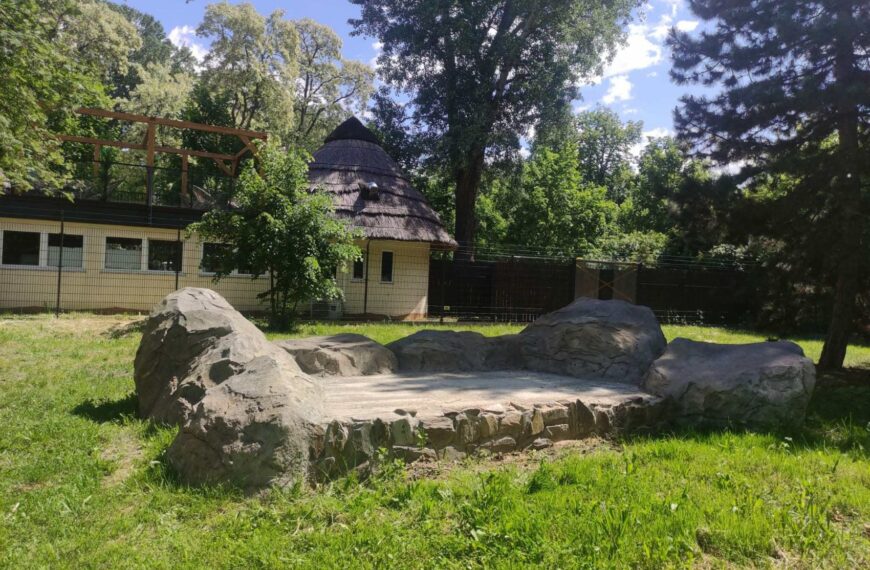 Podgrzewana skała na nowym wybiegu gepardów_fot. Anna Karczewska_Warszawskie ZOO