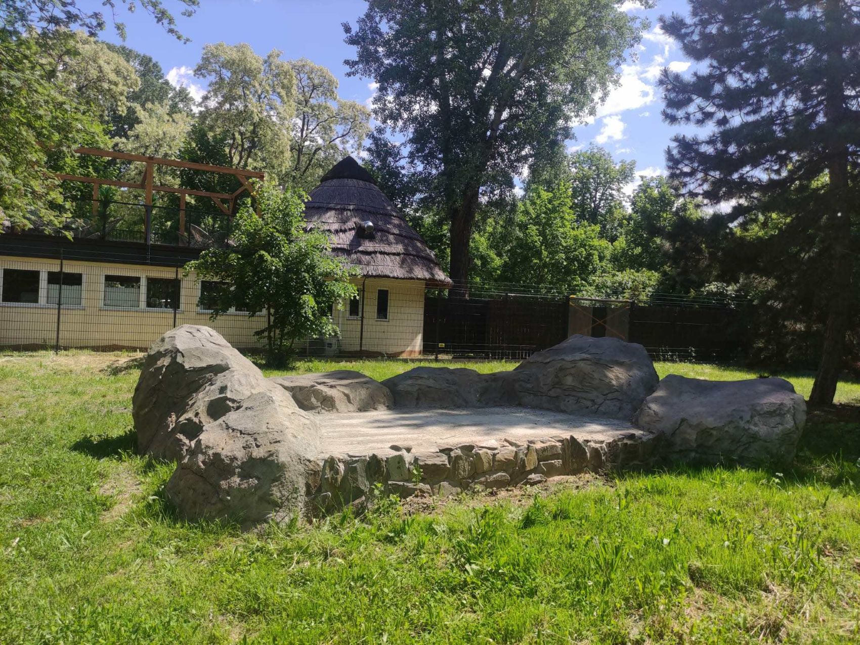 Podgrzewana skała na nowym wybiegu gepardów_fot. Anna Karczewska_Warszawskie ZOO