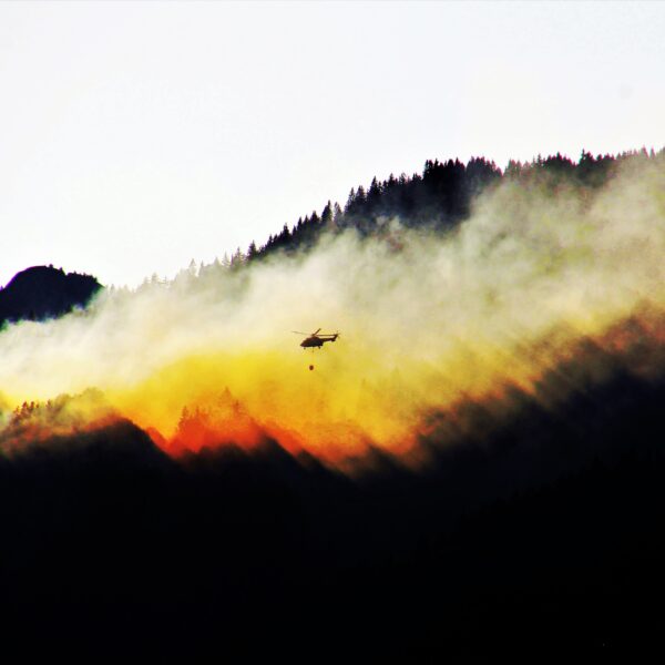 Black Hawk