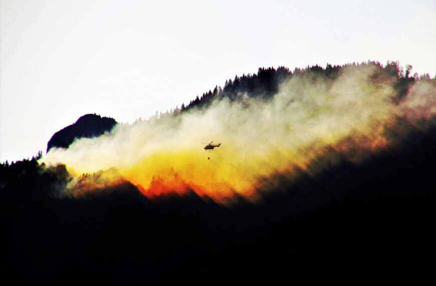 Black Hawk