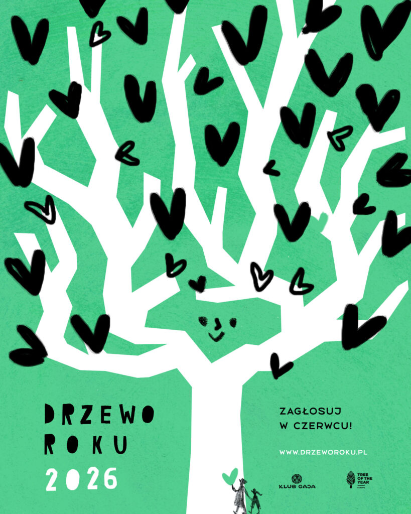 Rusza głosowanie na Drzewo Roku 2026. 16 kandydatów 1 Drzewo roku 2026