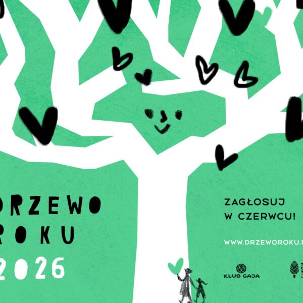 Drzewo roku 2026_plakat_FBIG-post1-scaled
