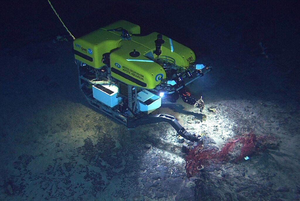 Bezzałogowe pojazdy podwodne (ROV) umożliwiły rejestrację rekina na głębokościach sięgających około 2000 metrów Fot. By Mountains in the Sea Research Team; the IFE Crew; and NOAA/OAR/OER. - NOAA Photo Library: expl1196, Public Domain, https://commons.wikimedia.org/w/index.php?curid=17915256