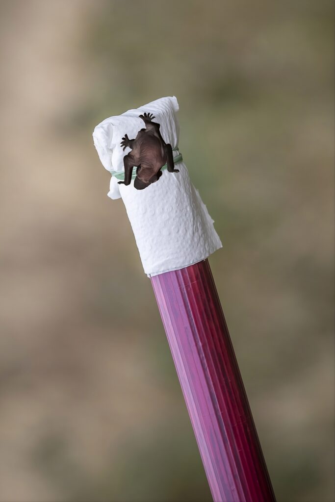 Na końcu kija mocujemy miękki papier lub szmatkę i na tym wieszamy małego nietoperz