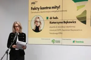 fake newsy