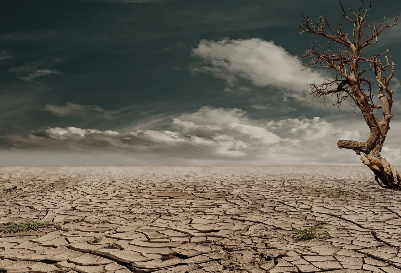 zmainy klimatu