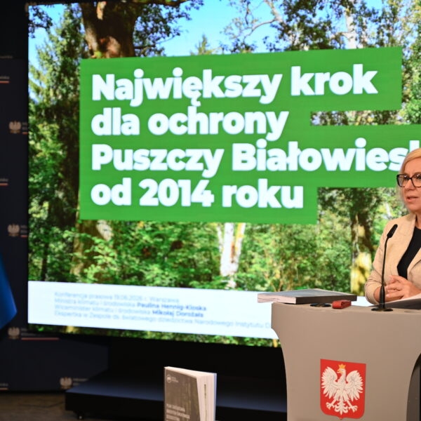 plan zarządzania