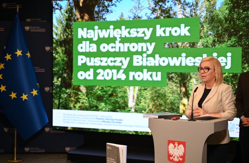 plan zarządzania