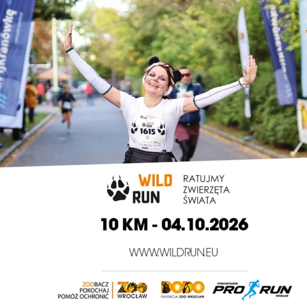 WILD RUN