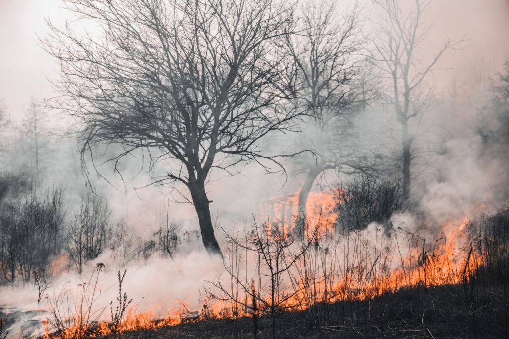 Ogromne pożary w Europie. Gdzie sytuacja jest najtrudniejsza? 2 pożar