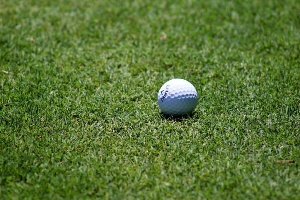 pole golfowe