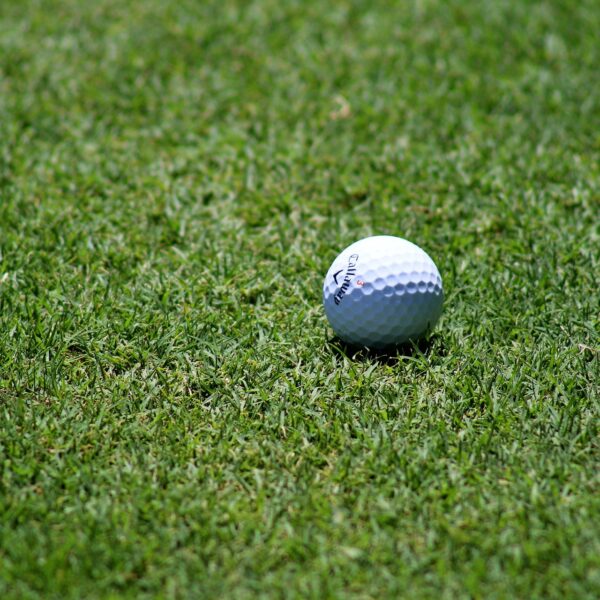 pole golfowe