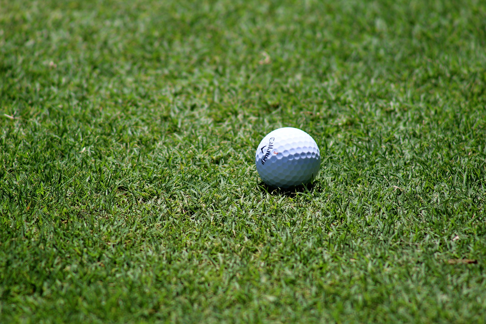 pole golfowe