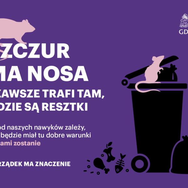 szczór