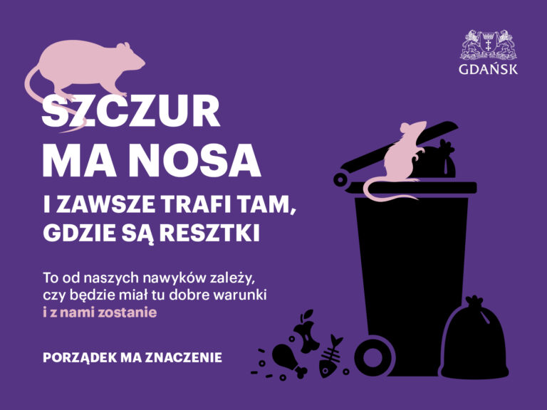szczór