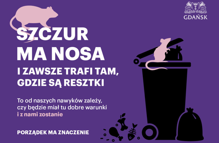 szczór