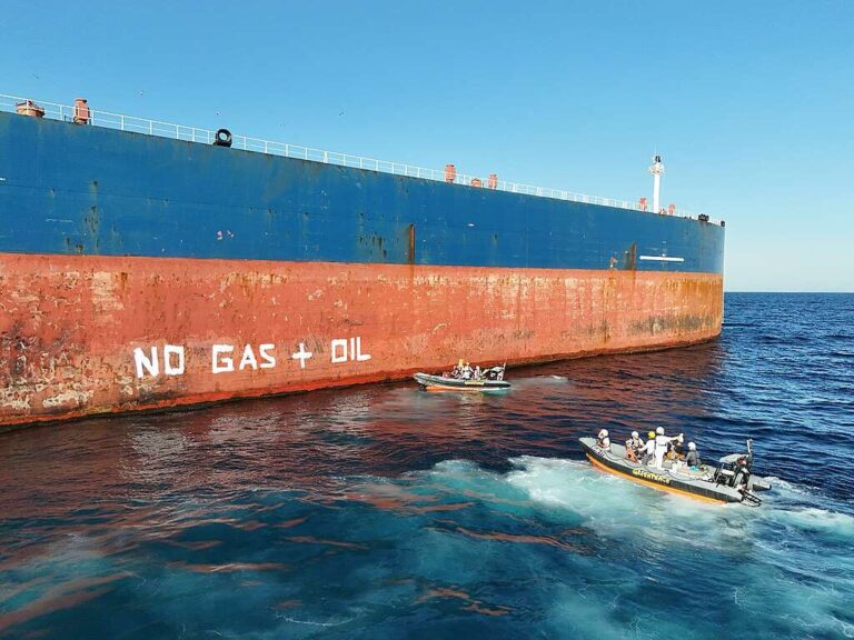 aktywiści Greenpeace