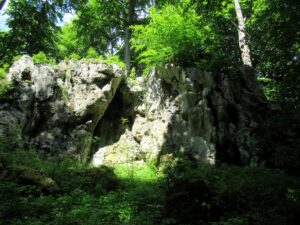Bogdaniec - nowy rezerwat przyrody